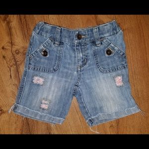 5 for $15 Pumpkin patch jean shorts